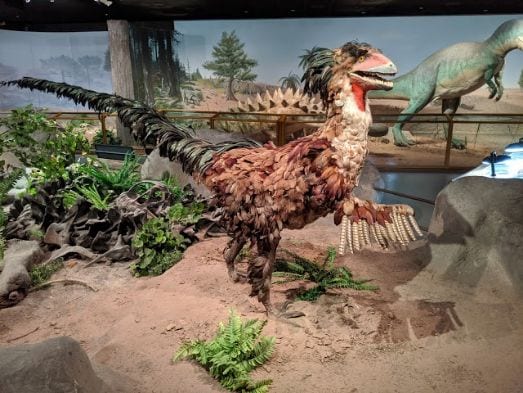 Las Vegas Natural History Museum-4